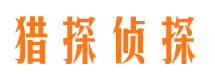 莲湖市侦探公司